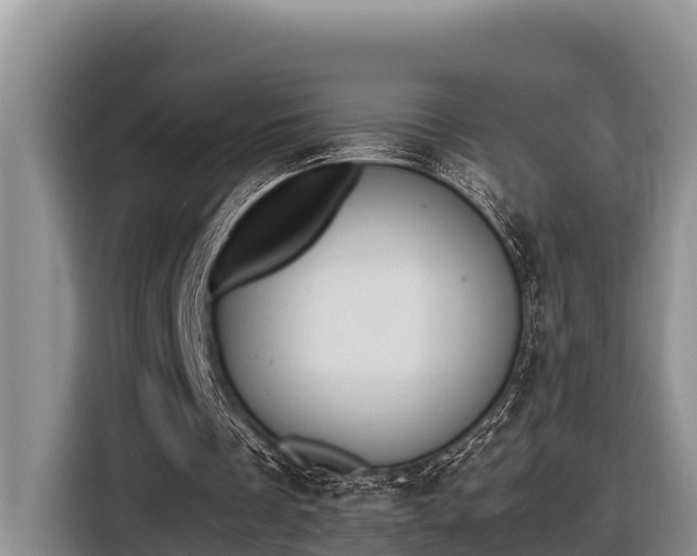 X0000116820289200912241246