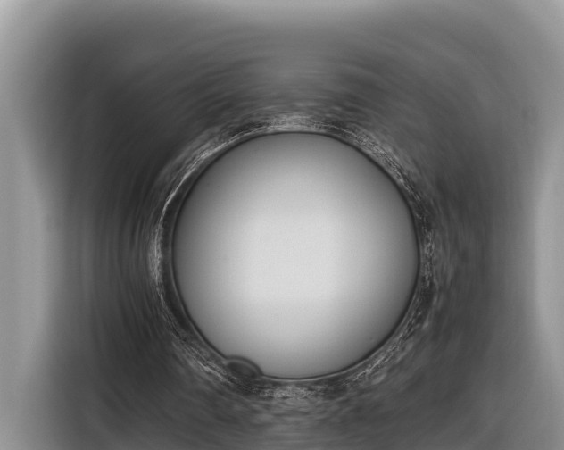 X0000116820290200912241246