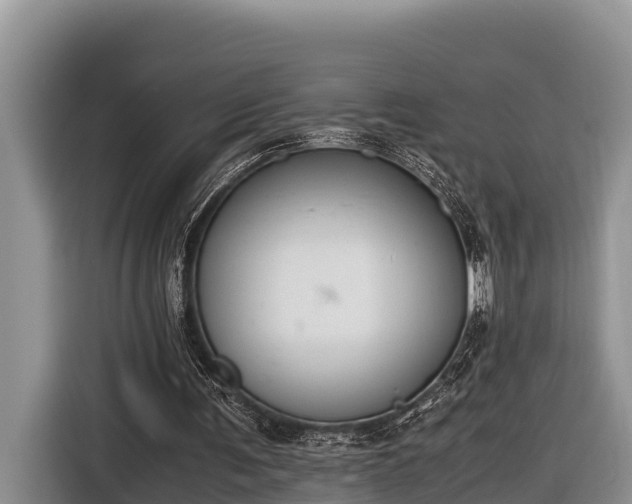 X0000116820291200912241246