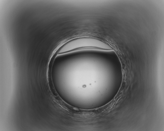 X0000116820292200912241246