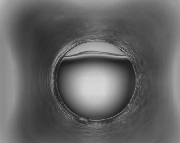 X0000116820293200912241246