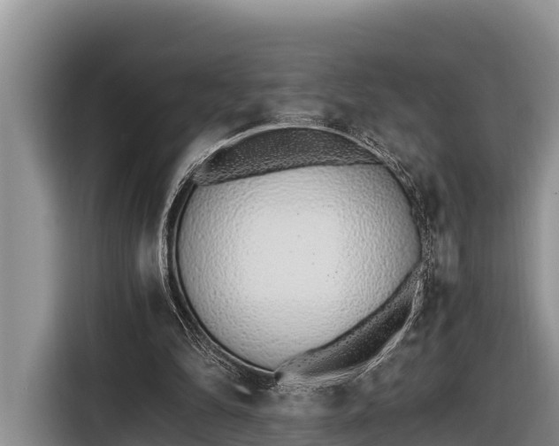 X0000116820294200912241246