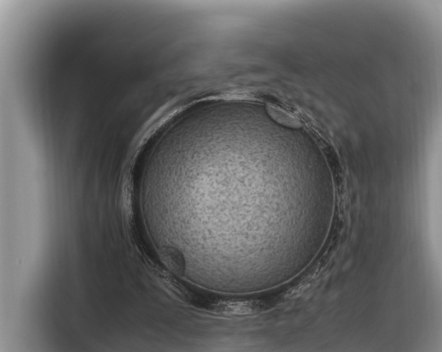 X0000116820295200912241246