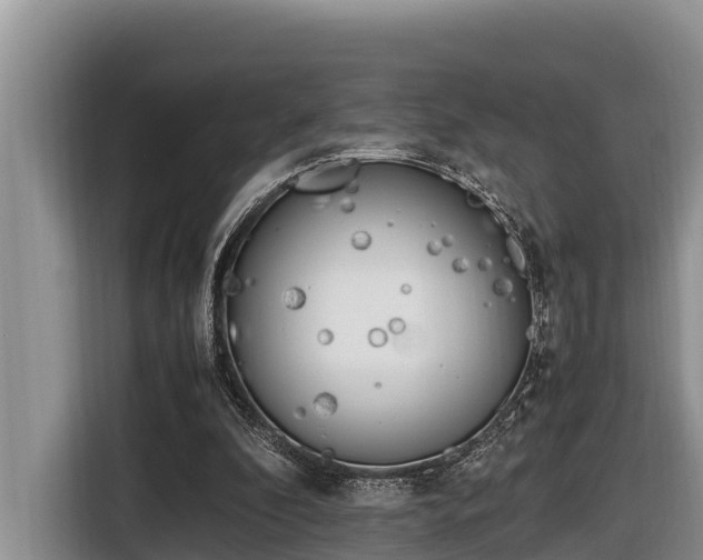 X0000116820296200912241246