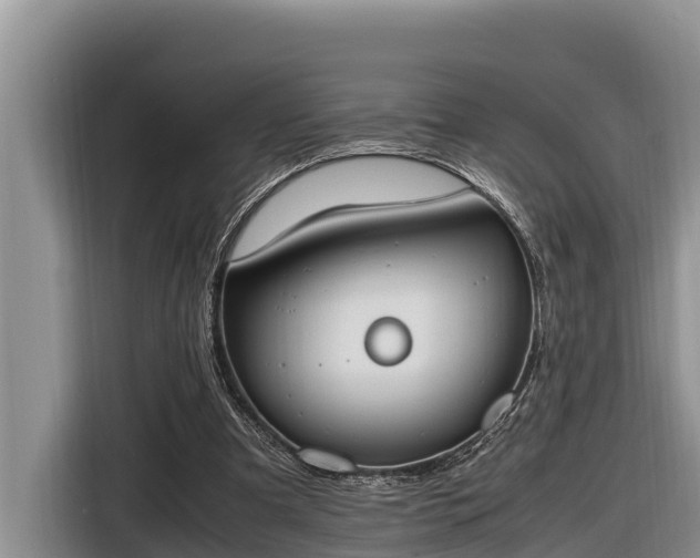 X0000116820297200912241246