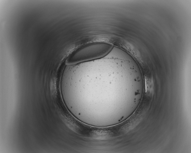 X0000116820300200912241246