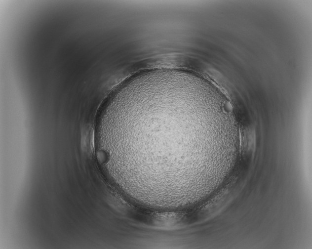 X0000116820301200912241246