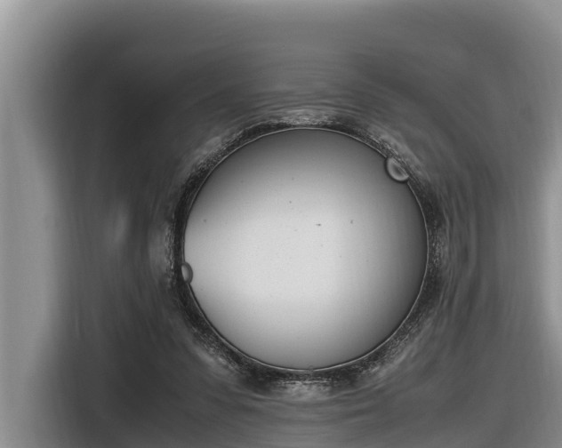 X0000116820303200912241246