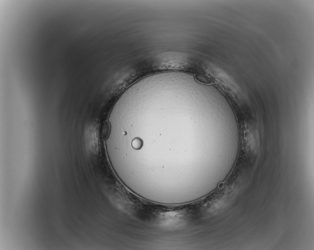 X0000116820312200912241246