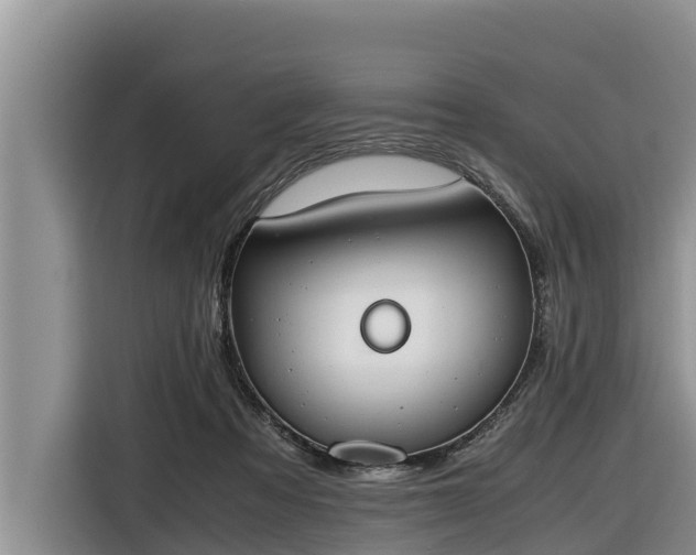 X0000116820313200912241246