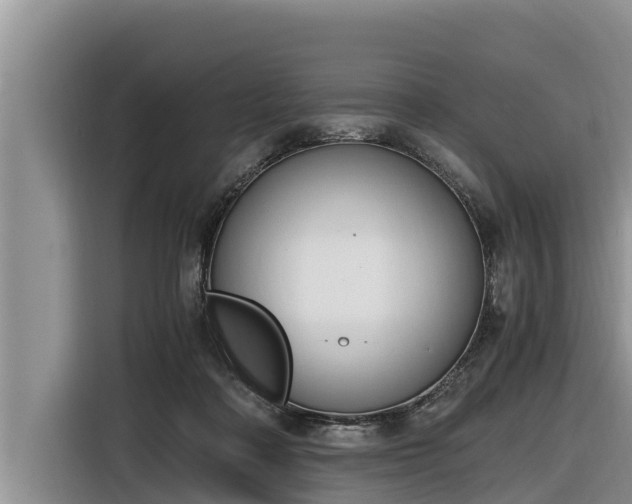 X0000116820314200912241246