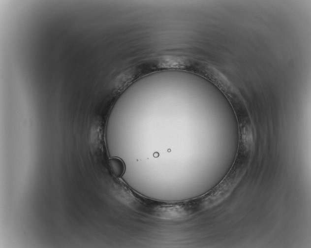 X0000116820322200912241246