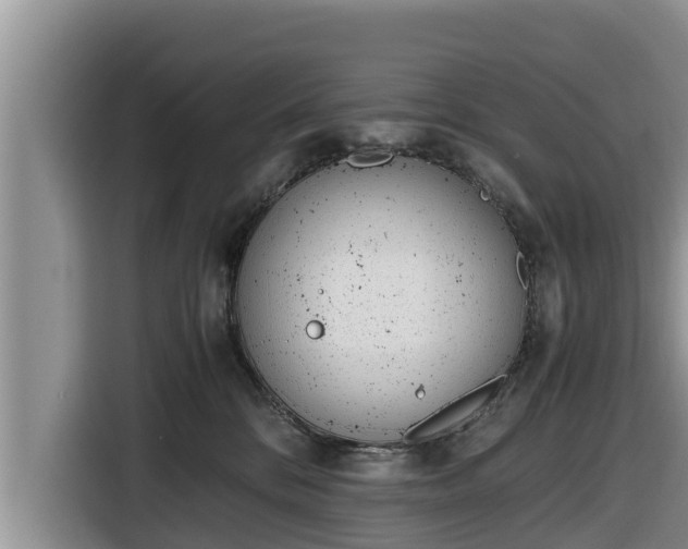 X0000116820328200912241246