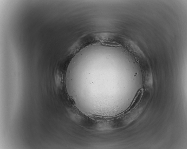 X0000116820332200912241246