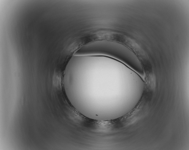 X0000116820333200912241246