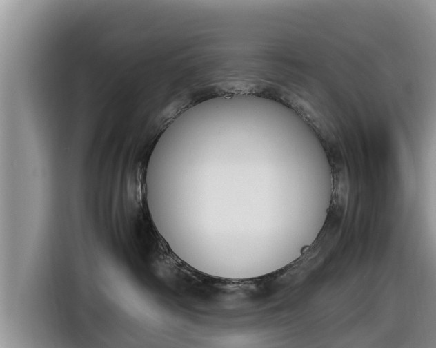 X0000116820334200912241246