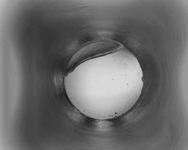 X0000116820336200912241245