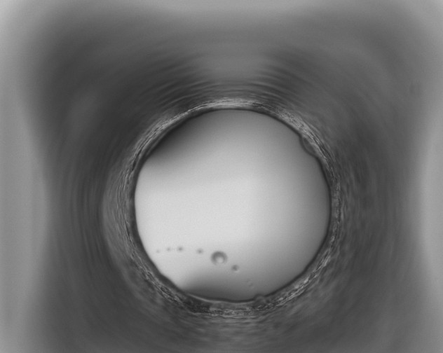 X0000116820337200912241245