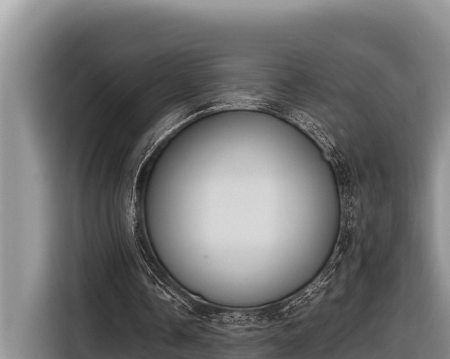 X0000116820338200912241245