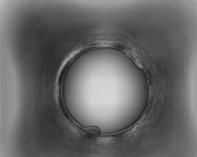 X0000116820342200912241245