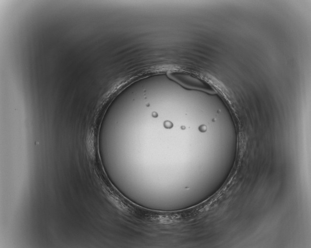 X0000116820345200912241245