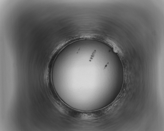 X0000116820346200912241245