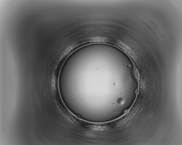 X0000116820347200912241245