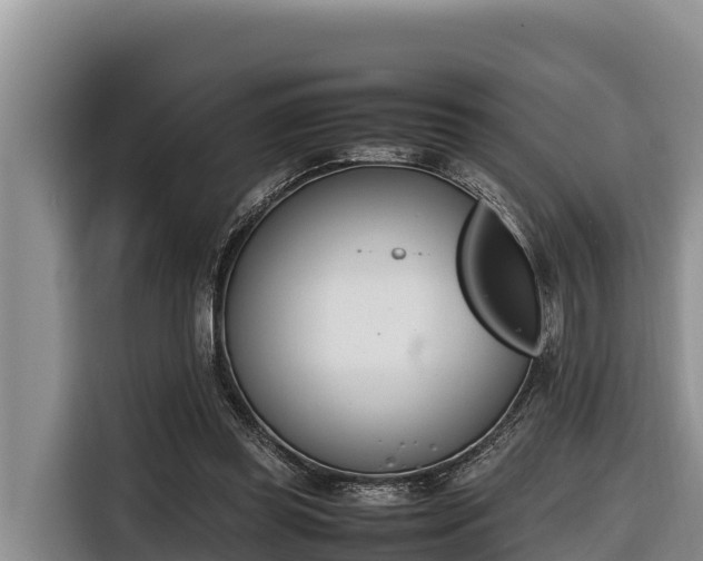 X0000116820349200912241245