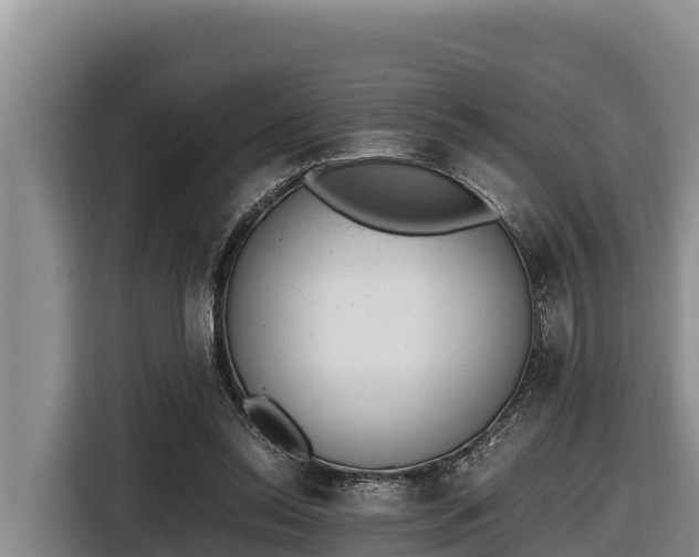 X0000116820350200912241245