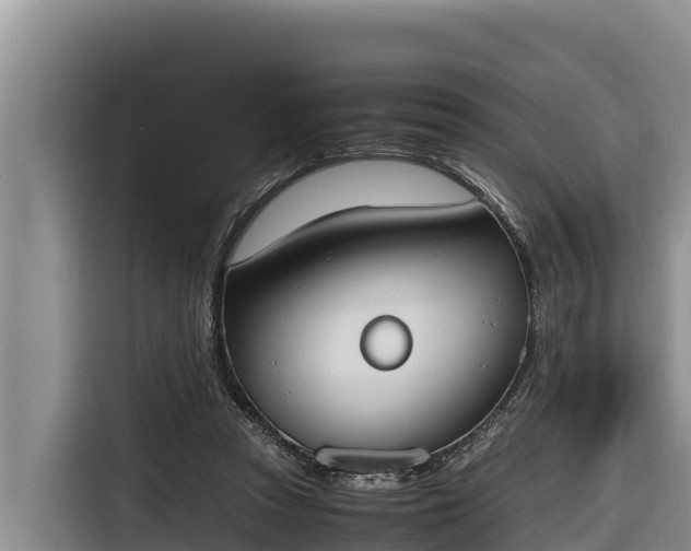 X0000116820353200912241245