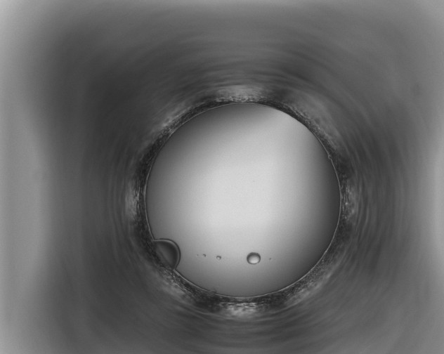 X0000116820355200912241245