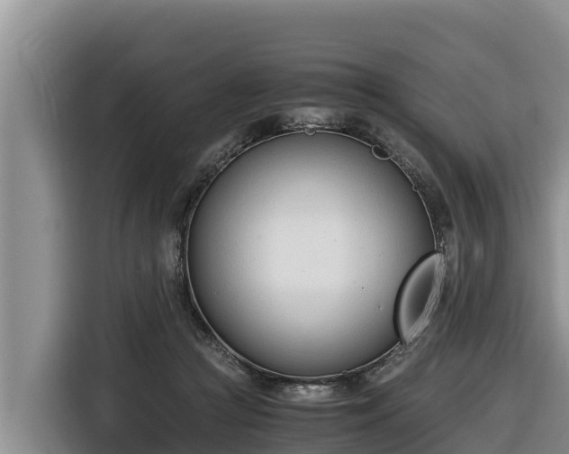 X0000116820361200912241245