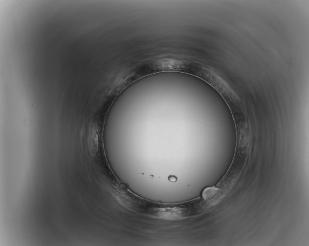 X0000116820363200912241245