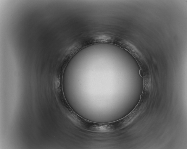 X0000116820365200912241245