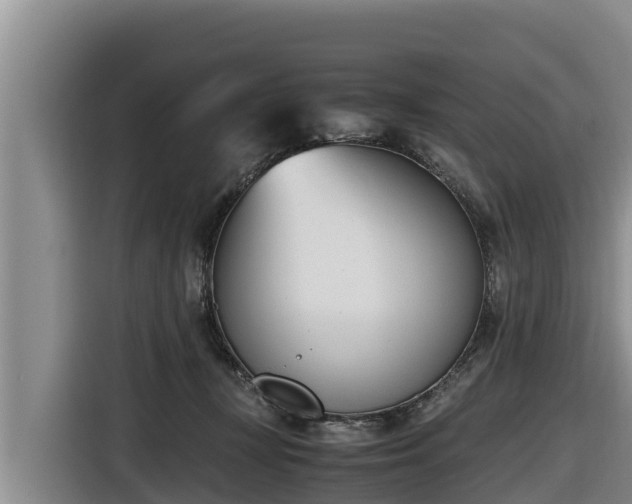 X0000116820367200912241245