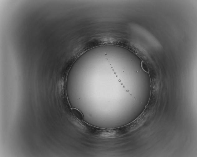 X0000116820369200912241245