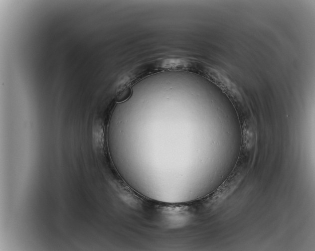 X0000116820375200912241245