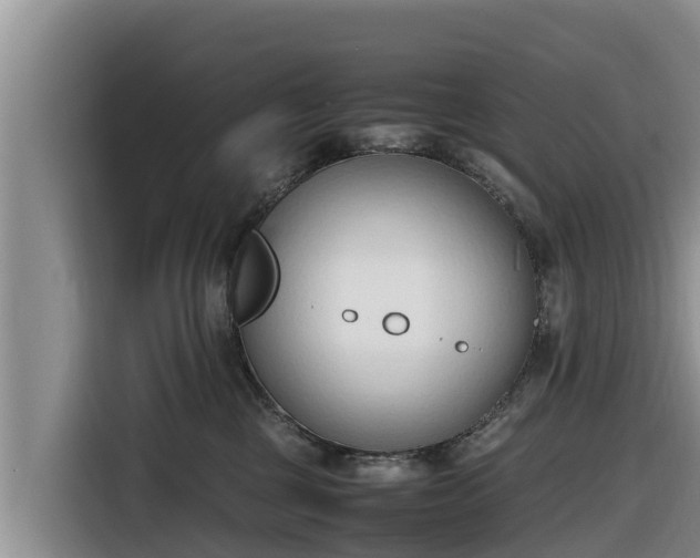 X0000116820377200912241245