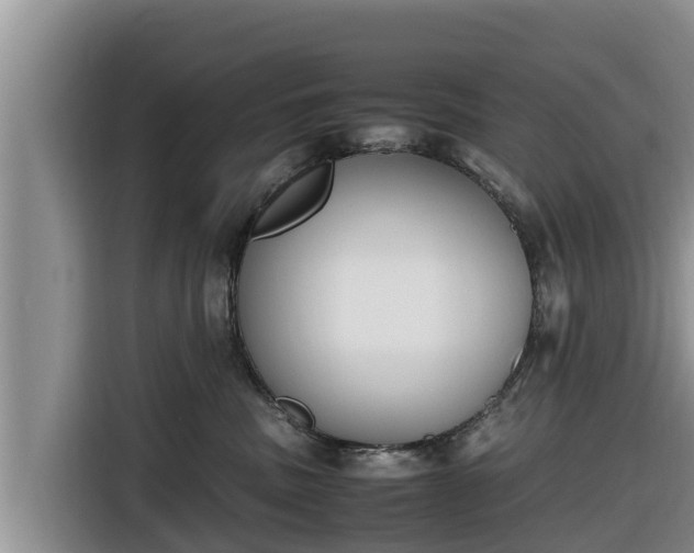 X0000116820379200912241245