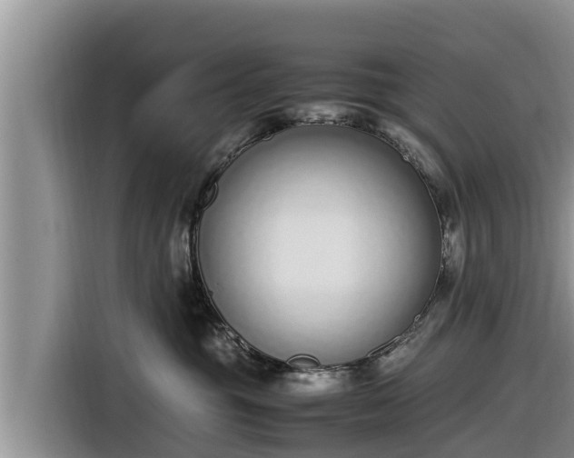 X0000116820381200912241245