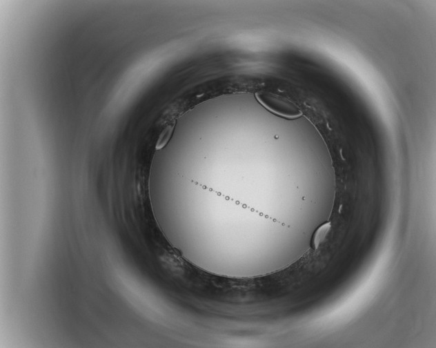 X0000116820382200912241245