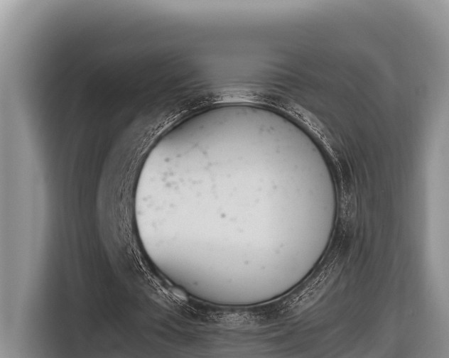 X0000116820385200912241245