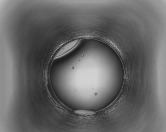 X0000116820386200912241245