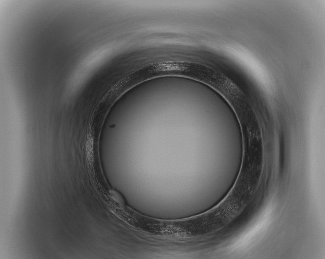 X0000116820387200912241245