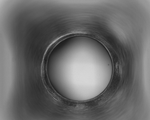 X0000116820388200912241245