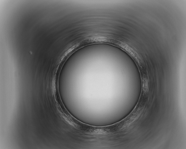 X0000116820390200912241245