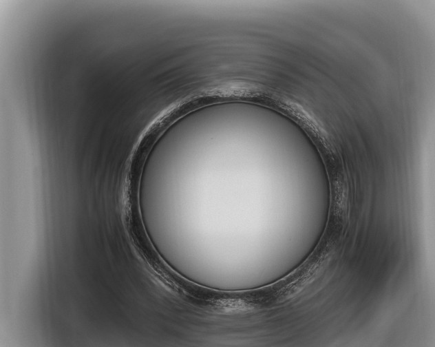 X0000116820392200912241245