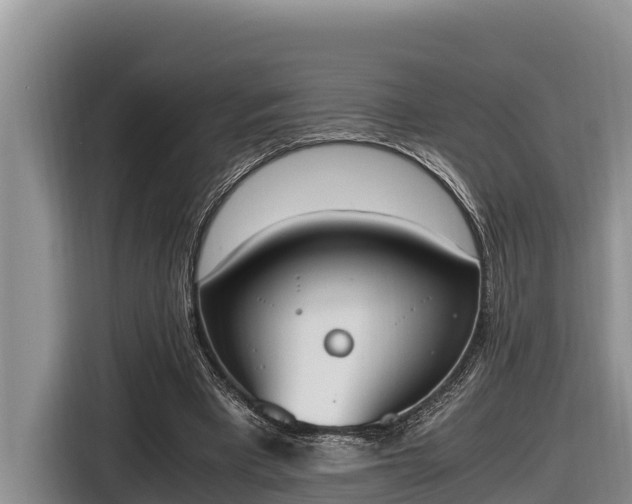 X0000116820393200912241245