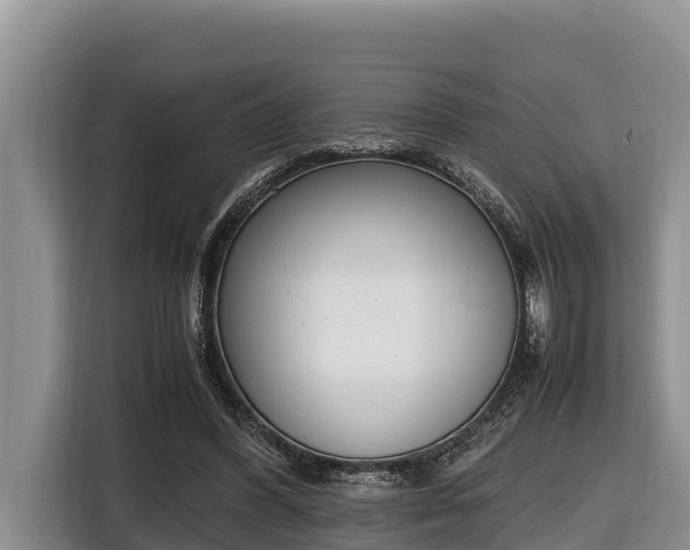 X0000116820396200912241245