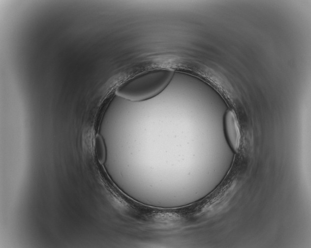 X0000116820397200912241245